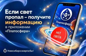 Пропал свет? Узнайте причину и время включения за два клика